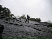 survival062.jpg